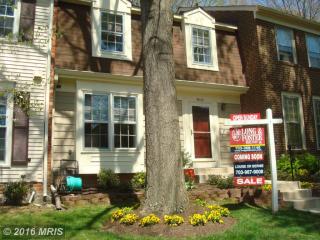 9622 Masterworks Dr, Vienna, VA 22181-6103