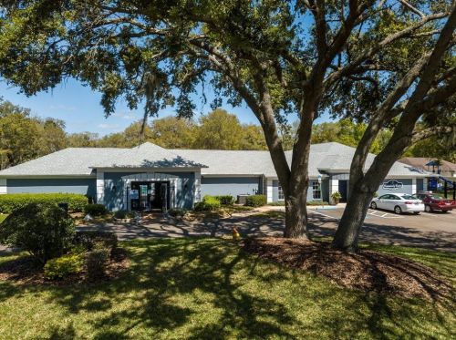 9724 Cypress Pond Ave, Tampa FL 33647-1841 exterior