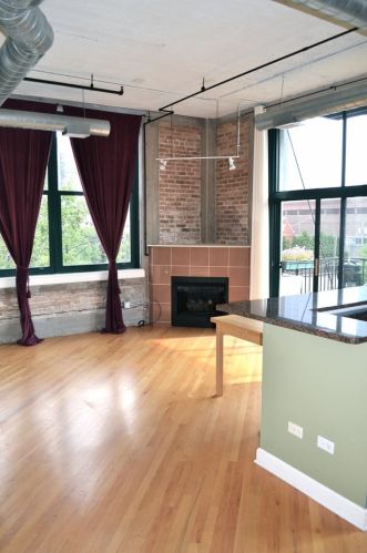 221 Cullerton St, Chicago IL  60616-1306 exterior