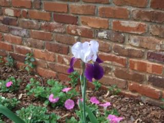 640 Patrick Pl, Atlanta GA  30328-5220 exterior