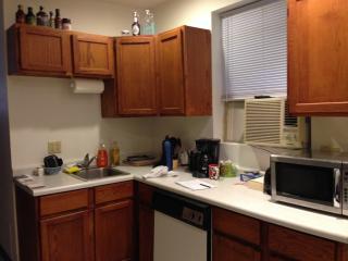 2311 Melrose St, Chicago IL  60618-6317 exterior