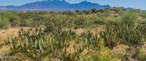 441 Paseo Bolsa, Green Valley, AZ 85622-8303