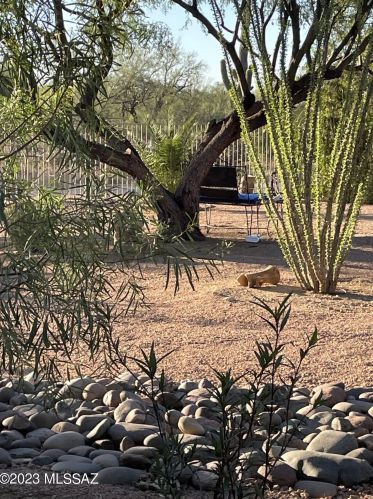 11160 Camino De La Tierra, Tucson AZ  85742-9722 exterior