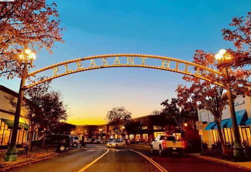 83 Matisse Ct, Concord, CA 94523-4238