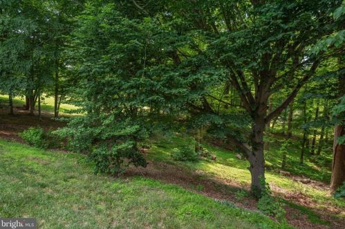 11008 Stanmore Dr, Rockville MD exterior