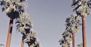 549 Portland St, Phoenix AZ  85003-1243 exterior