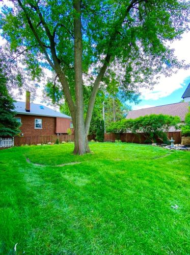 596 Euclid Ave, Elmhurst IL  60126-4336 exterior