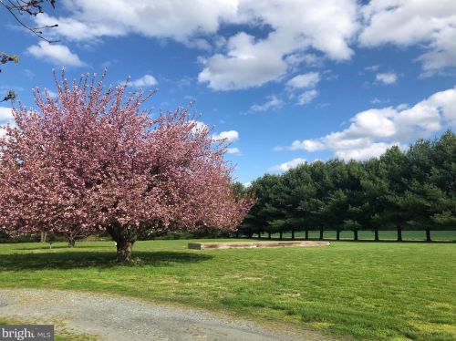 3011 Tidewater Ln, Huntingtown, MD 20639-9547