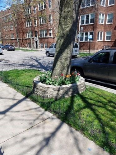 6132 Paulina St, Chicago IL  60660-2345 exterior