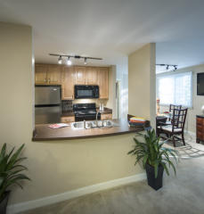 3005 Oak Green Cir, Ellicott MD  21043-3504 exterior