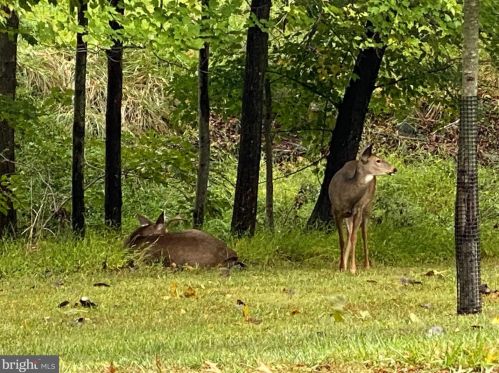 3278 Glen Eagles Dr, Silver Spring MD  exterior