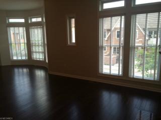 131 Vine St, Cleveland OH  44145-6997 exterior