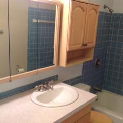 384 Newburn Dr, Pittsburgh PA  15216-1226 exterior