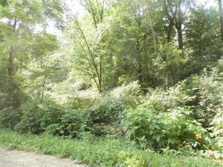 3328 127th Ave, Allegan, MI 49010-9230