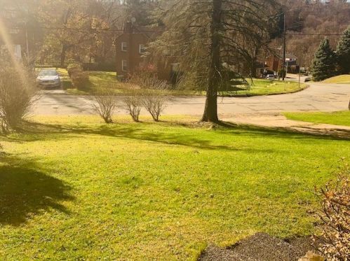 242 Elias Dr, Pittsburgh PA  15235-1708 exterior