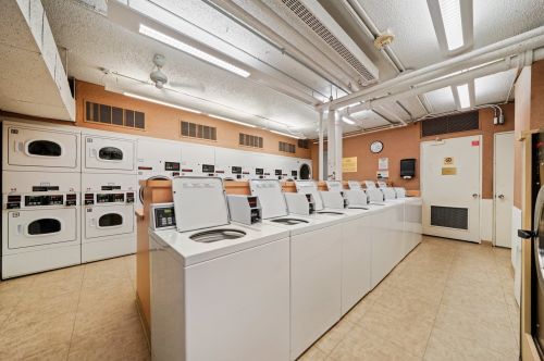 260 Chestnut St, Chicago IL  60610-3112 exterior