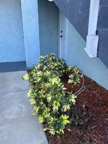 1606 Green Acres Cir, Fort Pierce, FL 34952-5084