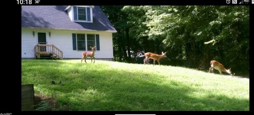 1944 Lincoln Rd, Allegan MI 49010-9435 exterior