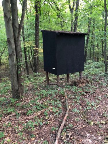 3763 2 St, Kalamazoo MI 49009-9319 exterior