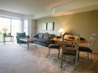 4890 Birch Lake Cir, Saint Paul MN  55110-6727 exterior