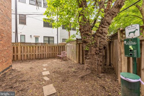 1441 Euclid St, Washington DC  20009-4597 exterior