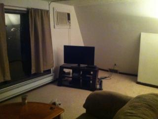 18 Haberman Ave, Pittsburgh PA  15211-2144 exterior