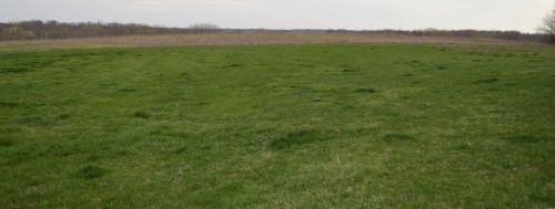 29999 Orange St, Canton MO 63435-3440 exterior