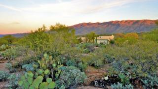 11850 Calle Javelina, Tucson, AZ 85748-8349