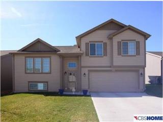 16419 Cary St, Omaha NE  68046-6186 exterior