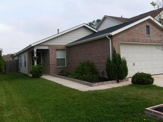 2906 Peachstone Pl, Spring TX  77389-4598 exterior