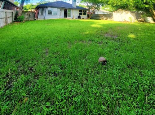 1109 Briargate Dr, Austin TX  78753-2049 exterior