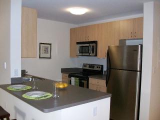 43 Newton St, Boston MA  02118 exterior