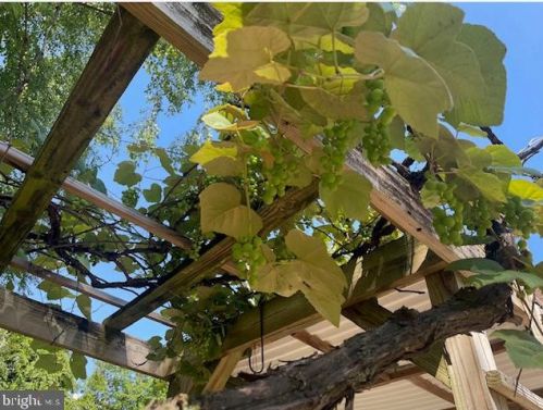 233 Old State Rd, Limerick PA 19468-3116 exterior