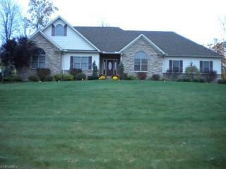 27100 Tinkers Valley Dr, Cleveland, OH 44139-2139
