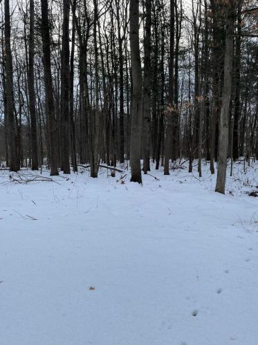 1120 37th St, Allegan MI 49010-8308 exterior