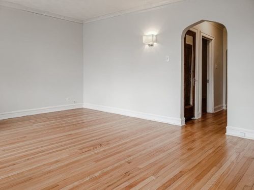 8516 Bennett Ave, Chicago IL 60649-4007 exterior