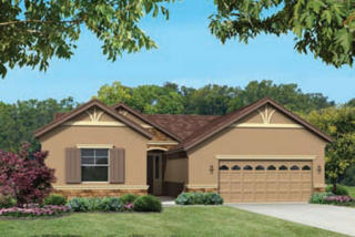 313 Carpenter Hill Rd, Folsom CA  95630-6269 exterior