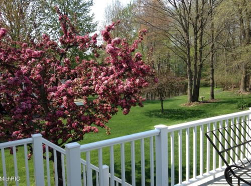 5643 Charolais Dr, Wyoming MI exterior