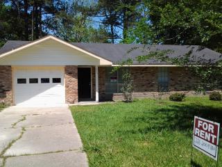 517 Baird Dr, Baton Rouge LA  70808-6808 exterior