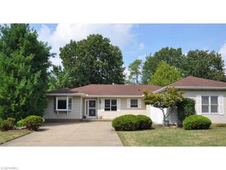 6006 Ely Vista Dr, Cleveland, OH 44129-6139