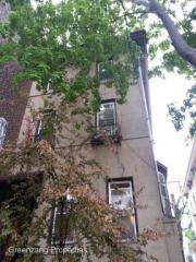 503 41st St, Philadelphia PA  19104-4563 exterior