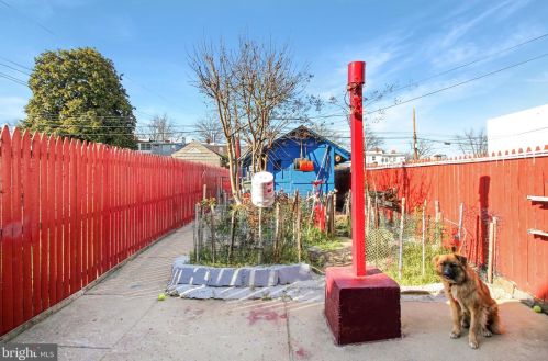 1217 Ingraham St, Washington DC 20011-3122 exterior