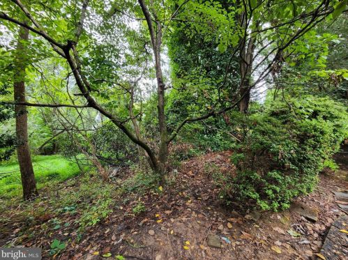 1290 Berry Pl, Mc Lean, VA 22102-1503