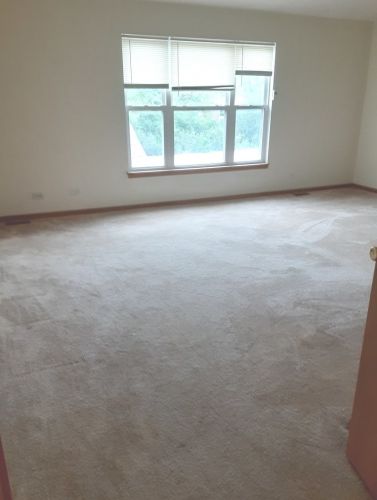 3105 Holden Cir, Matteson IL 60443-4436 exterior