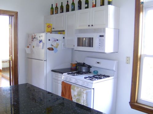 532 Campbell Ave, Chicago IL  60612-3406 exterior