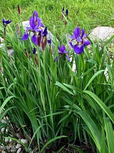 6608 College Ave, Grand Rapids MI 49548-6948 exterior