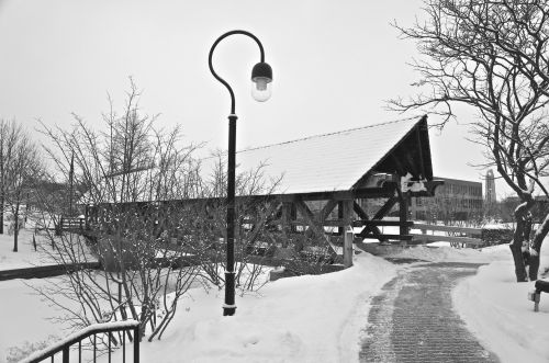 2323 Fawn Lk Cir, Naperville IL 60564-4611 exterior