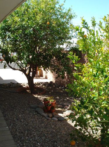 5668 Cir Z St, Tucson AZ 85713-4419 exterior