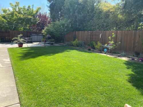 2065 Quincy Rd, Turlock CA 95382-8116 exterior