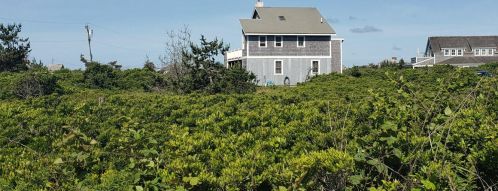 60 Nobadeer Ave, Nantucket, MA 02554-2878